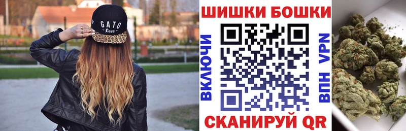дарнет шоп  Ясногорск  Бошки Шишки ГИДРОПОН 